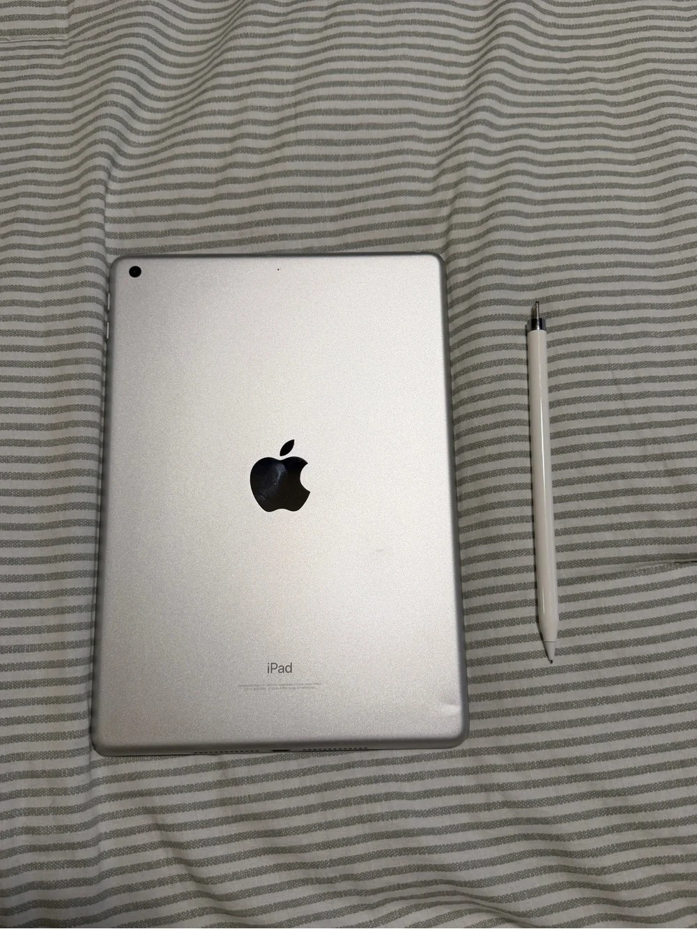 Apple iPad with White Smart Pencil - White